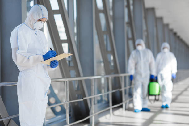 Environmental Consulting for Mold Prevention in Elmira Heights, NY