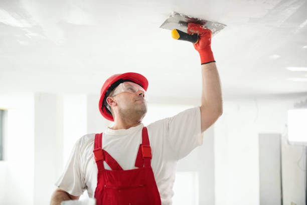 Best Mold-Related Health Consultation  in Elmira Heights, NY